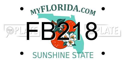FB218 Florida License Plate