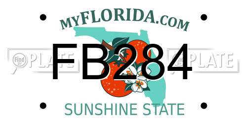 FB284 Florida License Plate