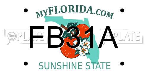 FB31A Florida License Plate