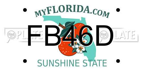 FB46D Florida License Plate