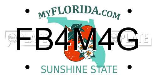 FB4M4G Florida License Plate
