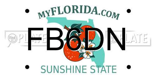 FB6DN Florida License Plate
