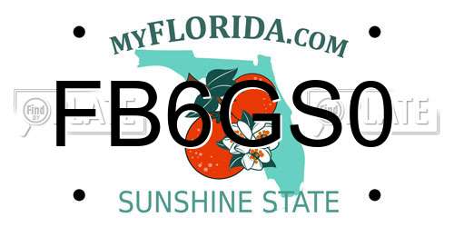 FB6GS0 Florida License Plate