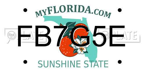 FB7G5E Florida License Plate