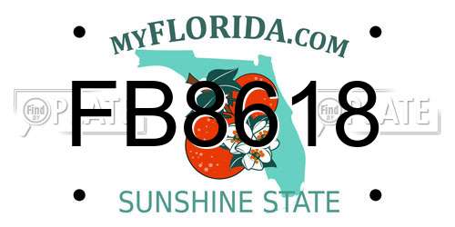 FB8618 Florida License Plate