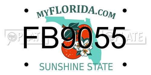 FB9055 Florida License Plate