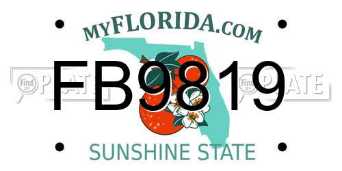 FB9819 Florida License Plate