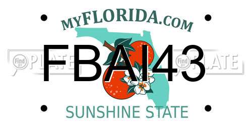 FBAI43 Florida License Plate