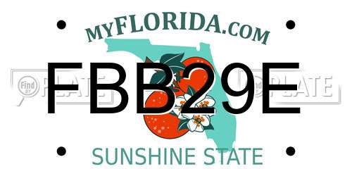FBB29E Florida License Plate