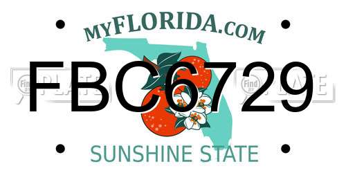 FBC6729 Florida License Plate