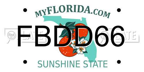 FBDD66 Florida License Plate