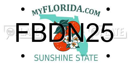 FBDN25 Florida License Plate