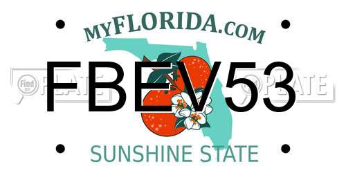 FBEV53 Florida License Plate