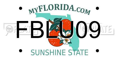 FBLU09 Florida License Plate