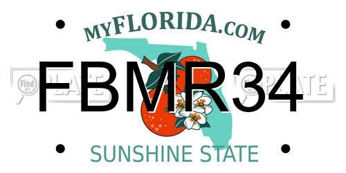 FBMR34 Florida License Plate