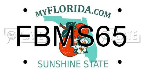 FBMS65 Florida License Plate