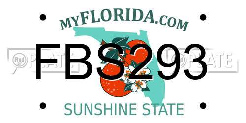 FBS293 Florida License Plate