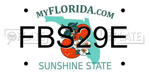 FBS29E Florida License Plate