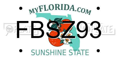 FBSZ93 Florida License Plate
