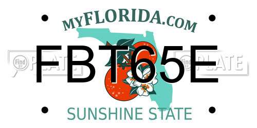 FBT65E Florida License Plate