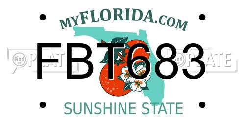 FBT683 Florida License Plate