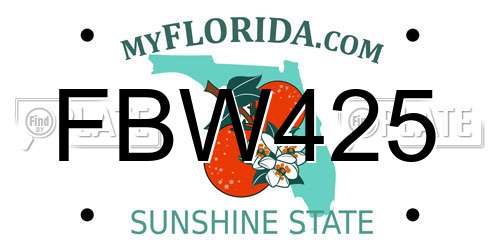 FBW425 Florida License Plate