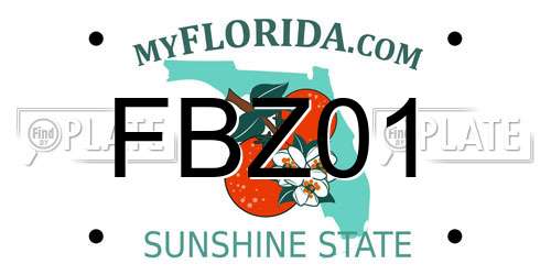 FBZ01 Florida License Plate
