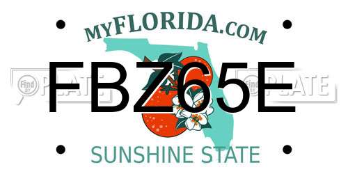 FBZ65E Florida License Plate