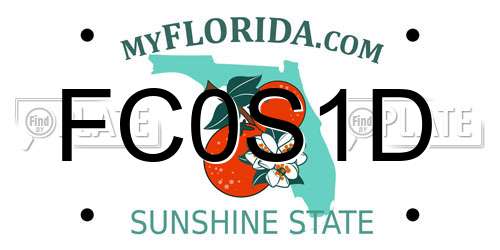 FC0S1D Florida License Plate