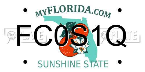 FC0S1Q Florida License Plate