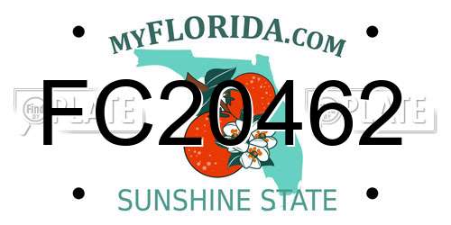 FC20462 Florida License Plate