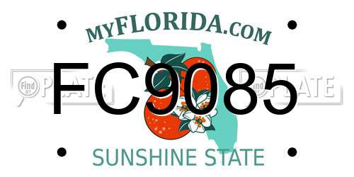 FC9085 Florida License Plate