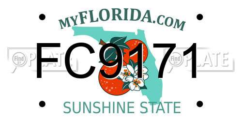 FC9171 Florida License Plate