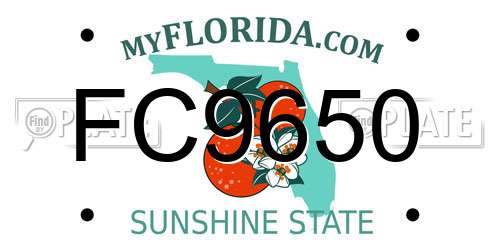 FC9650 Florida License Plate