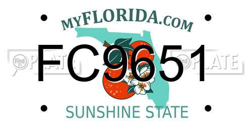 FC9651 Florida License Plate