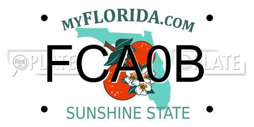 FCA0B Florida License Plate