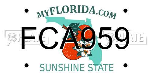 FCA959 Florida License Plate