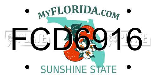 FCD6916 Florida License Plate