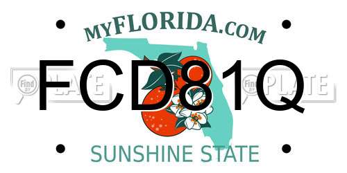 FCD81Q Florida License Plate