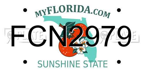 FCN2979 Florida License Plate