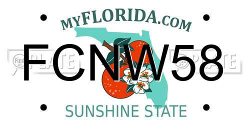 FCNW58 Florida License Plate