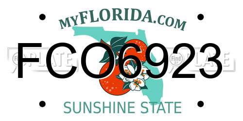 FCO6923 Florida License Plate