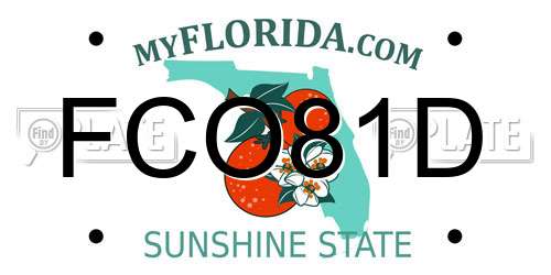 FCO81D Florida License Plate
