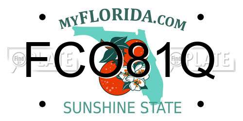 FCO81Q Florida License Plate