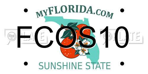 FCOS10 Florida License Plate