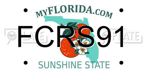 FCRS91 Florida License Plate