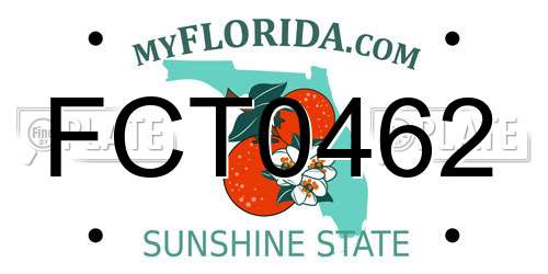 FCT0462 Florida License Plate