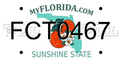 FCT0467 Florida License Plate
