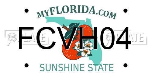 FCVH04 Florida License Plate
