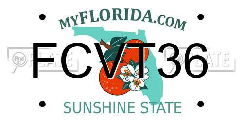 FCVT36 Florida License Plate